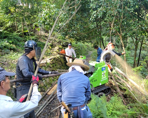 竹林整備活動